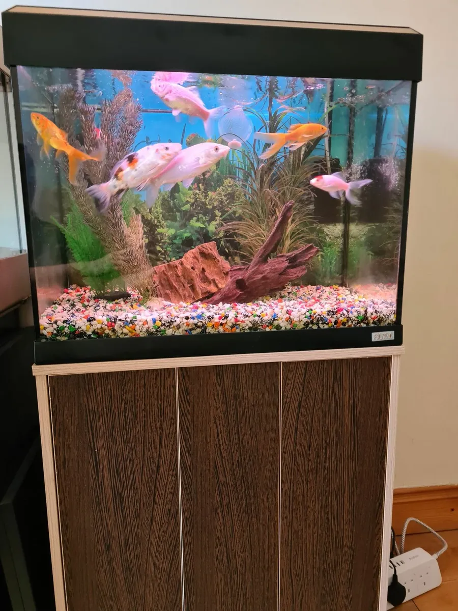 Fluval 100 l aquarium + cabinet + equipment - Image 3