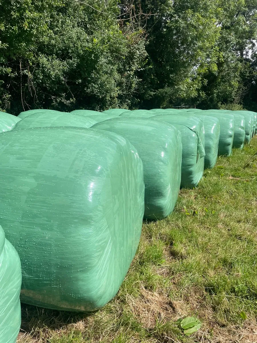 Small square hay round bale haylage - Image 3