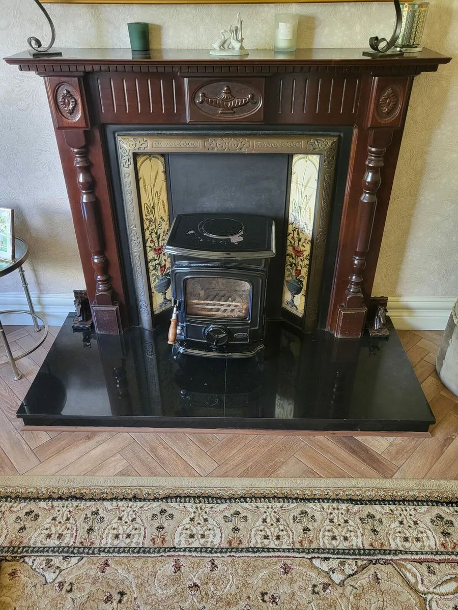 Fireplace Surround and Insert - Image 1