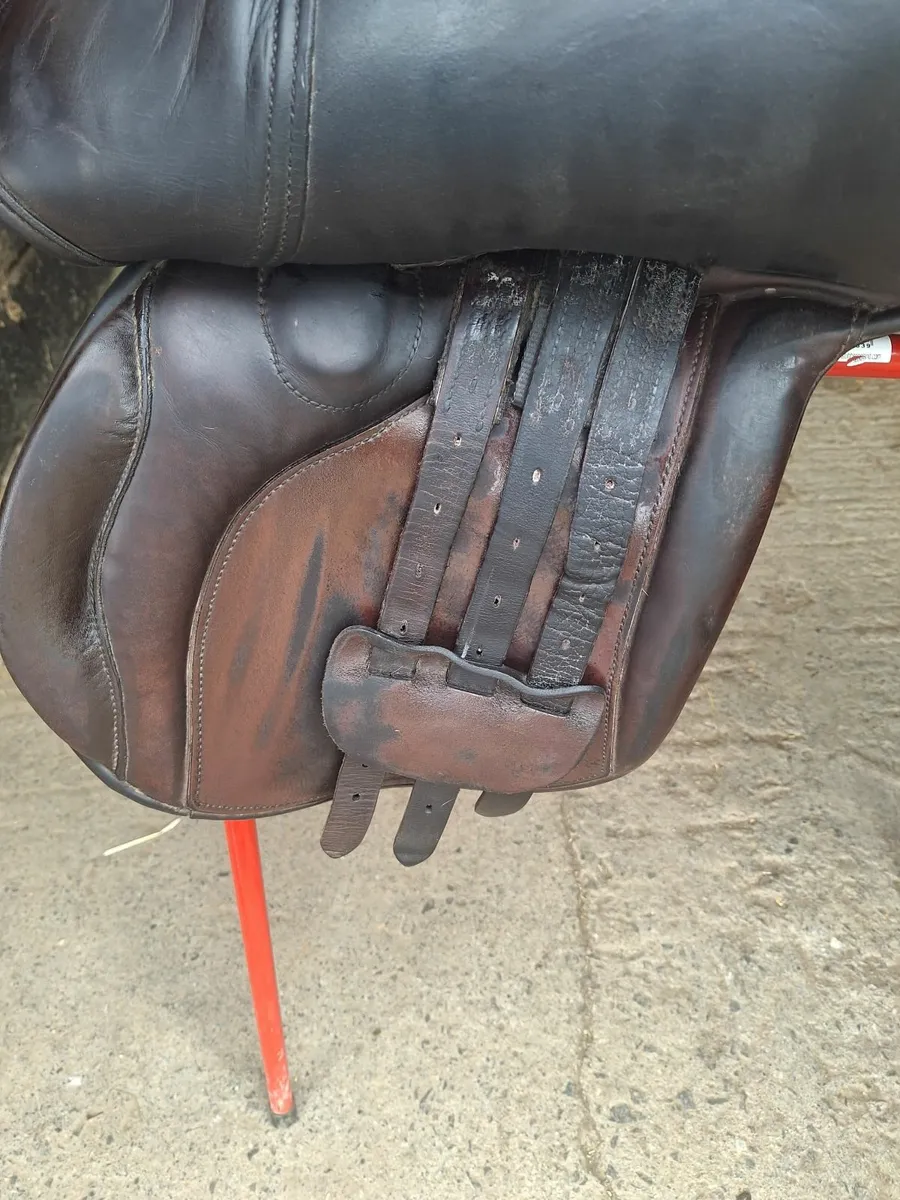 €820 To Buy All 3 Saddles - Image 3