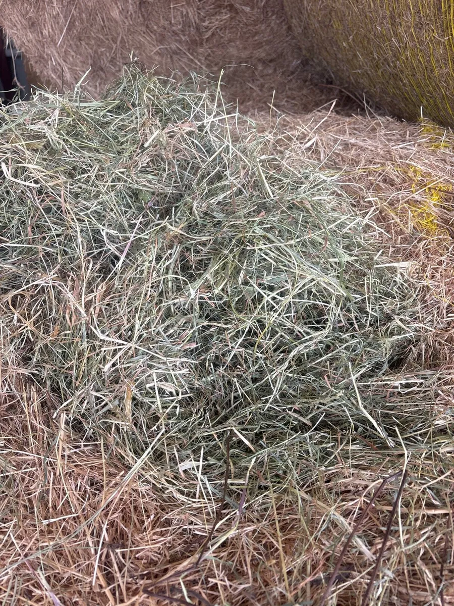 Equine Haylage&hay - Image 4