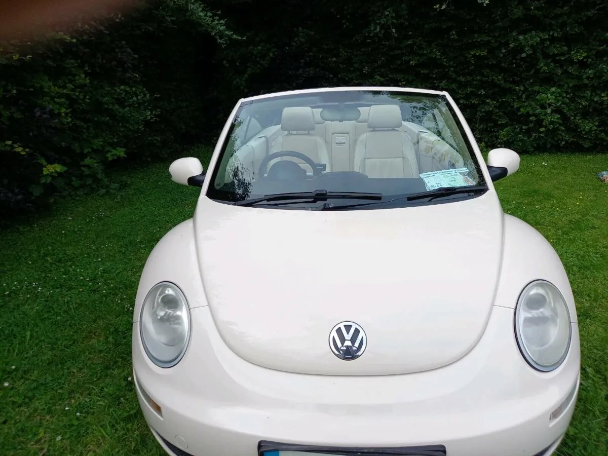 Car - Image 4