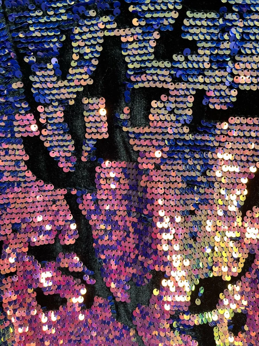 New Roman velvet sequin dress - Image 3