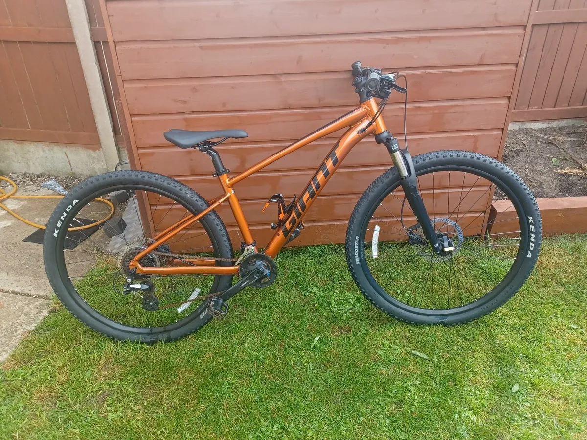 Mountain bike - Image 1