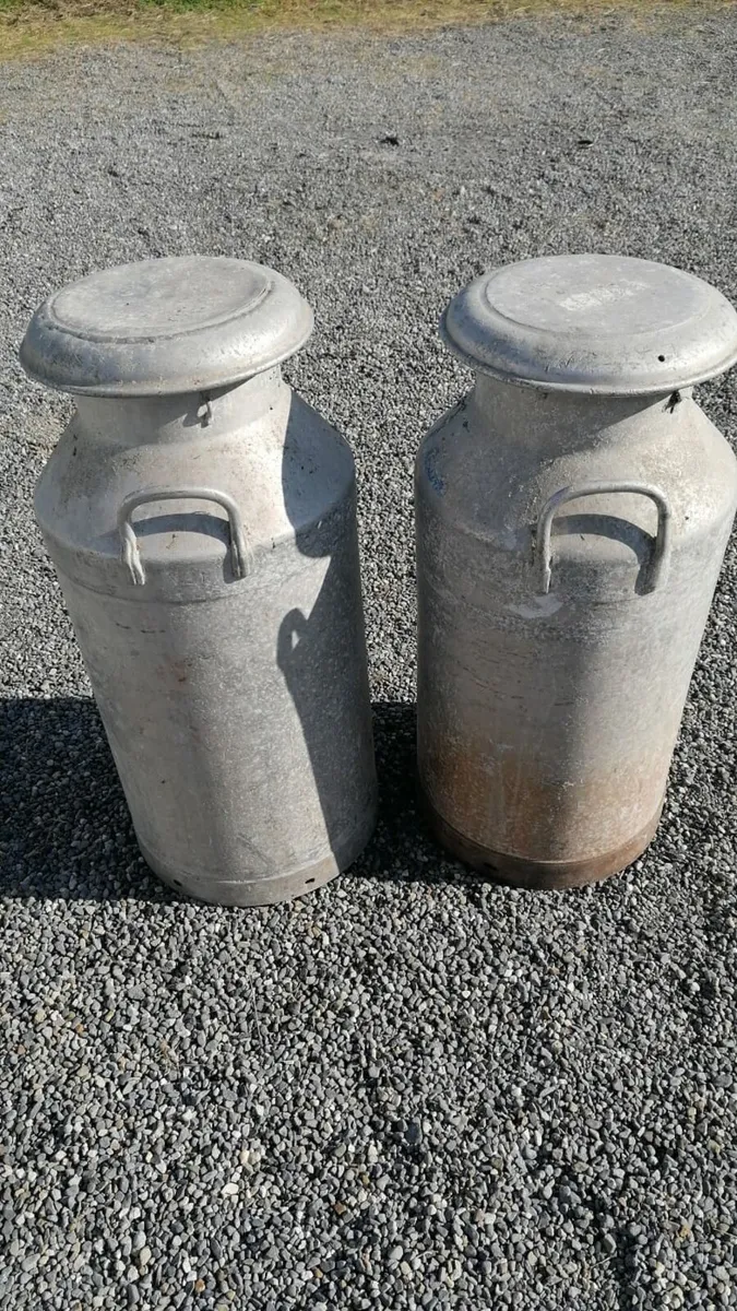 Milk jugs