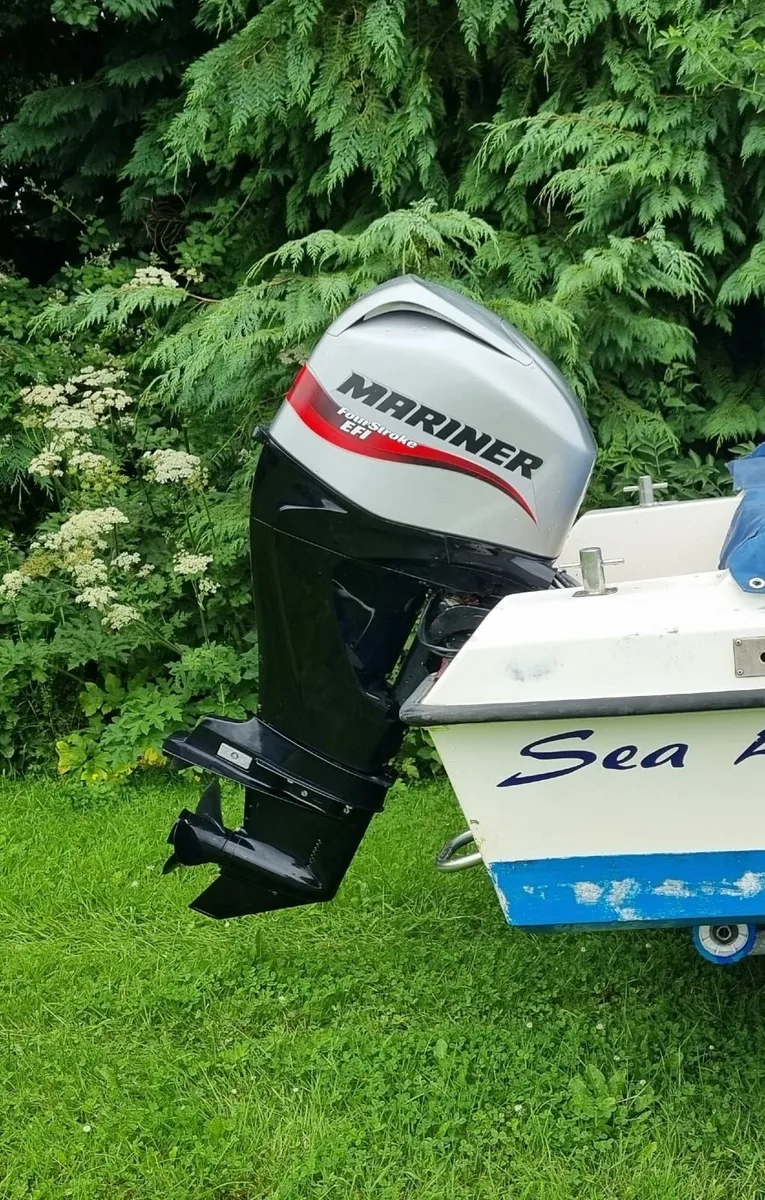 18ft Seahog Sealord - Image 2