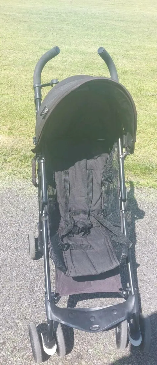 Buggy - Image 2