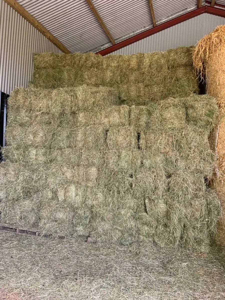 Hay - Image 1