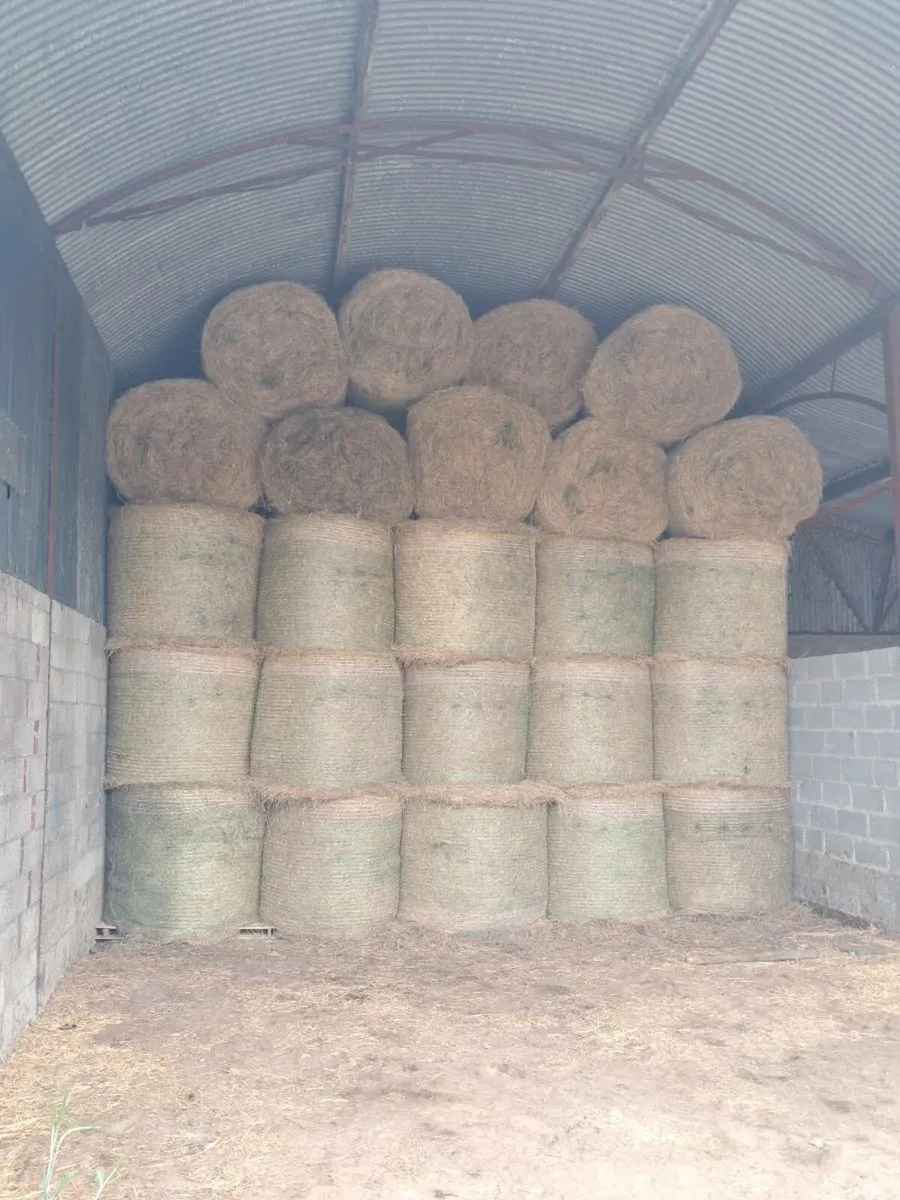 Hay - Image 3