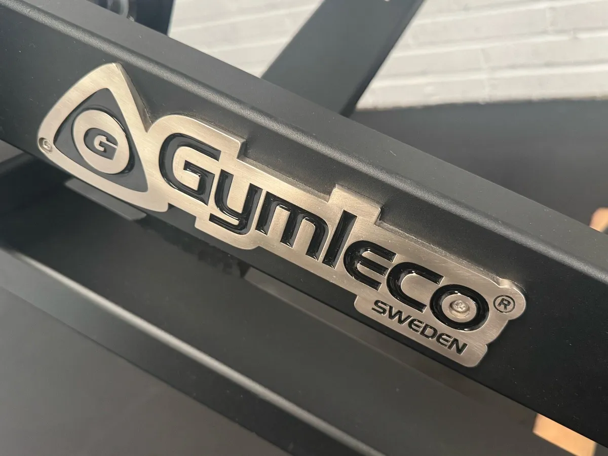 Gymleco chest press - Image 4