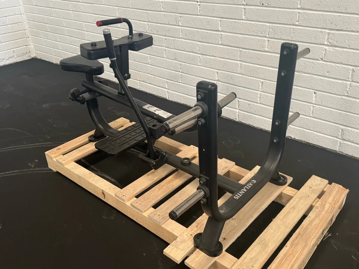 Atlantis seated calf machine - Image 1