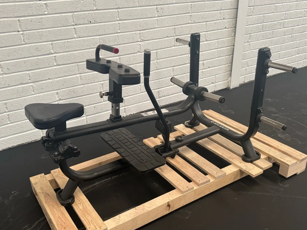 Atlantis seated calf machine - Image 2