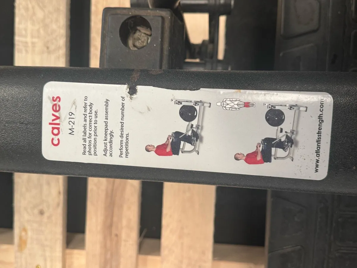 Atlantis seated calf machine - Image 4