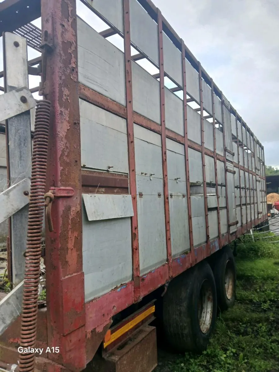 cattle trailer - Image 1