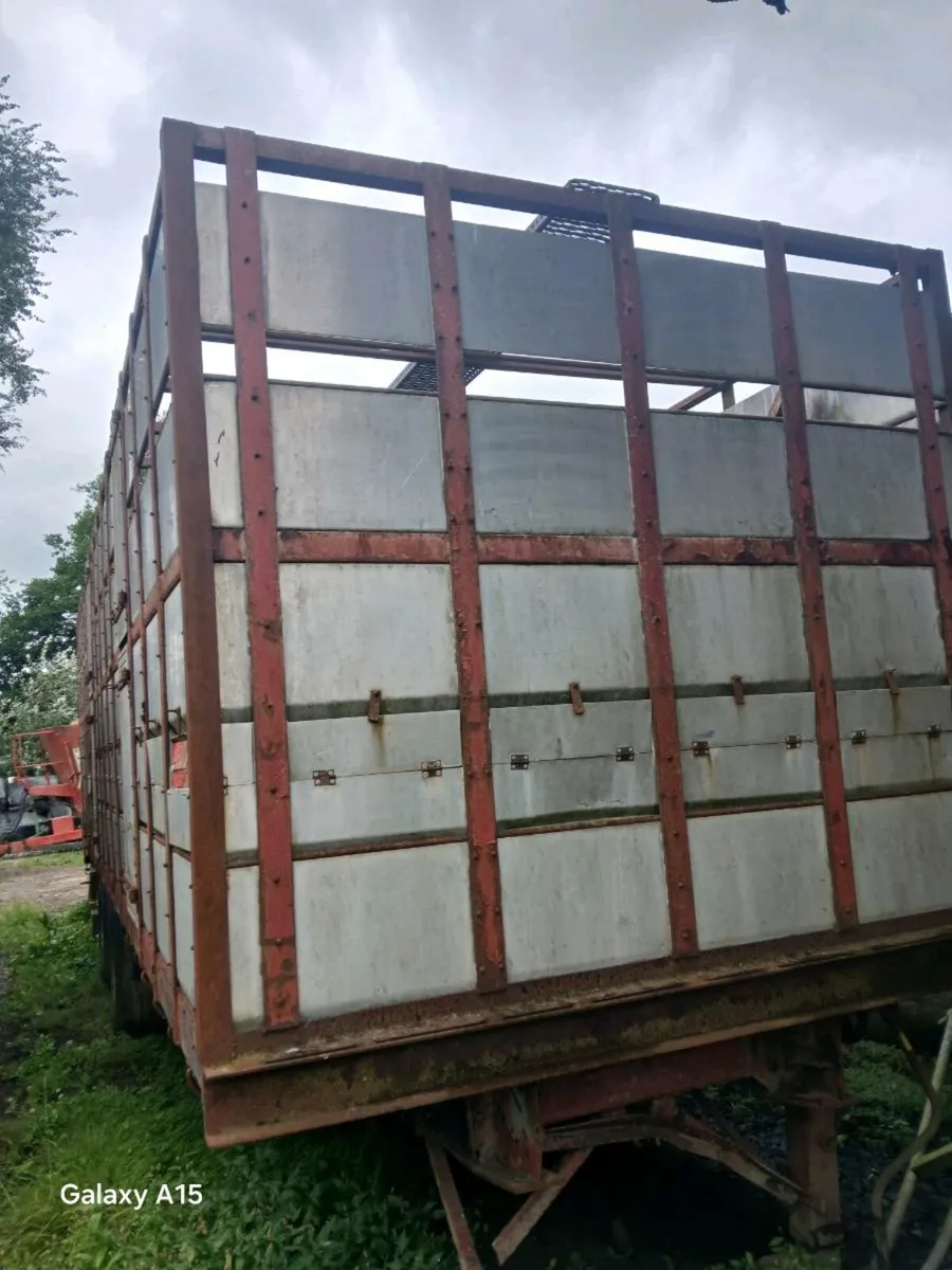 cattle trailer - Image 2