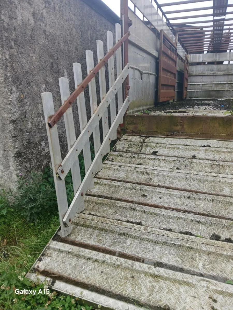 cattle trailer - Image 4