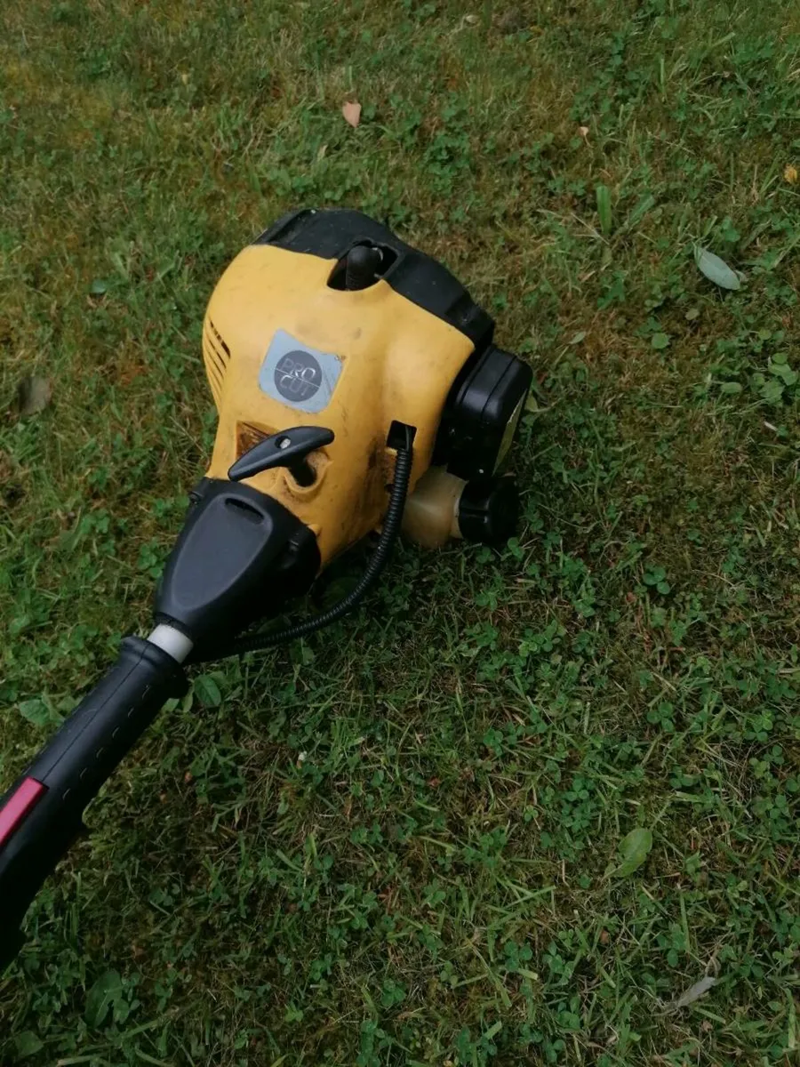 Strimmers - Image 1