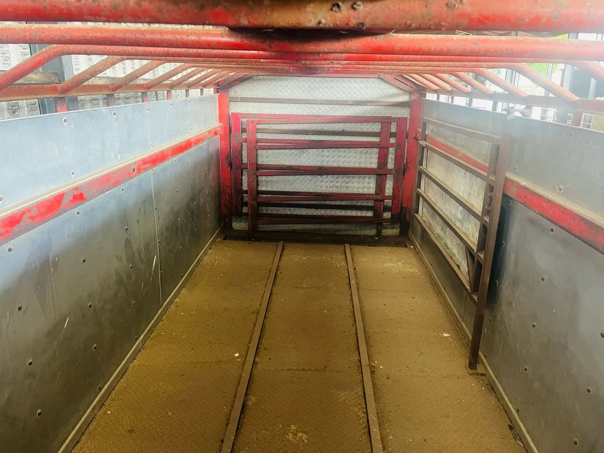 Looby 18ft cattle trailer - Image 4