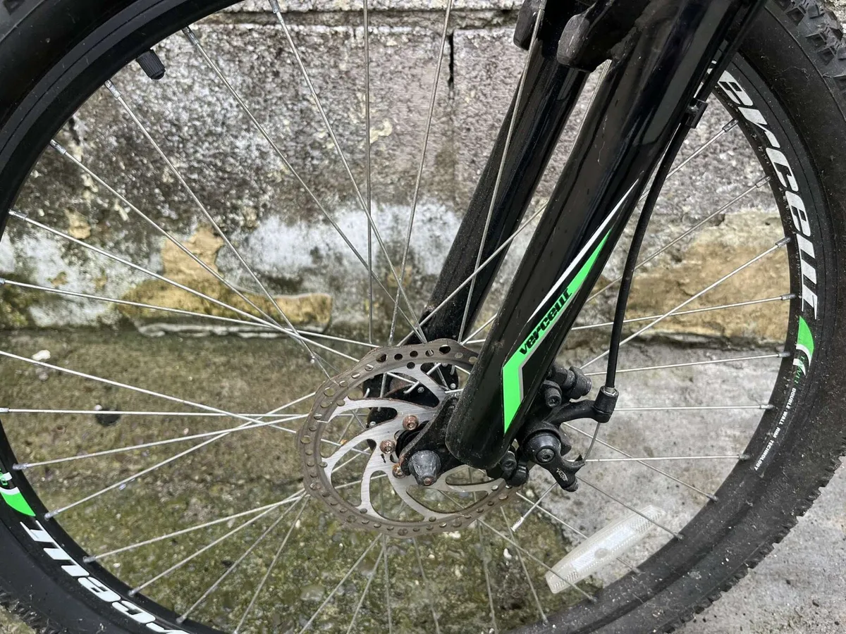 Adult bike - Image 2