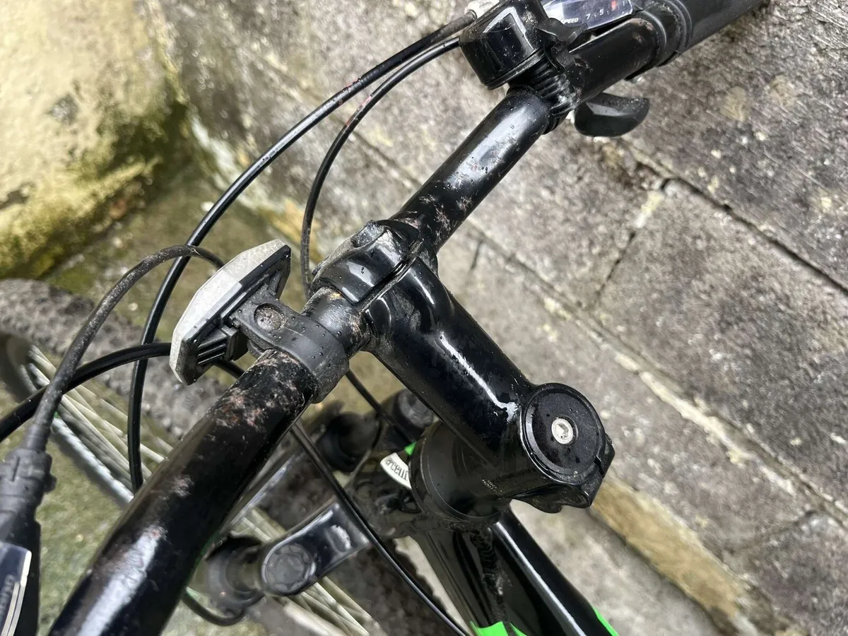 Adult bike - Image 4