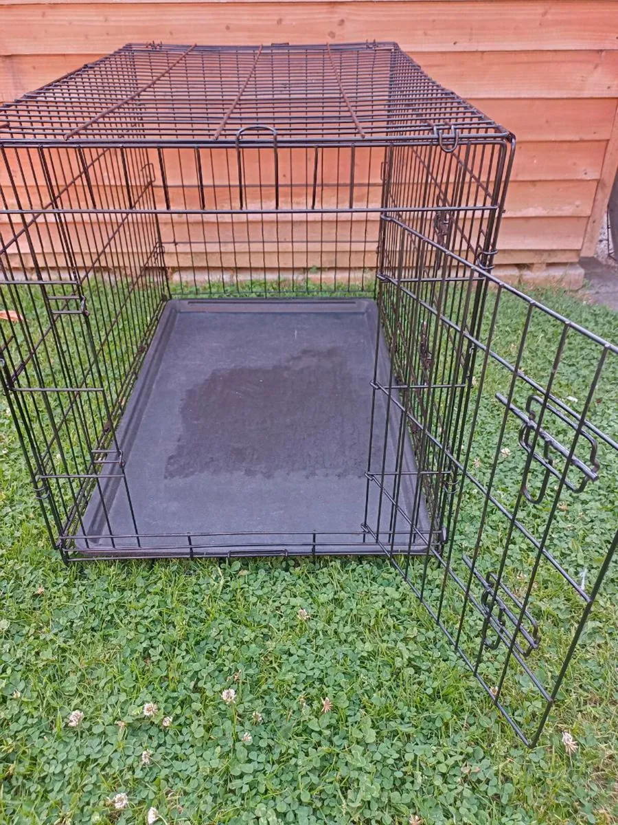 Large dog travel crate. - Image 2