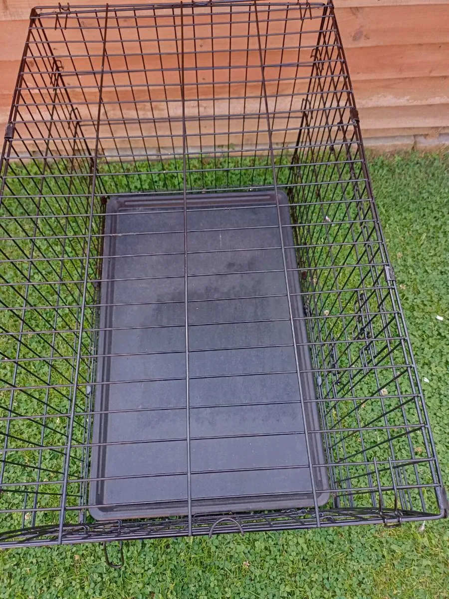 Large dog travel crate. - Image 3