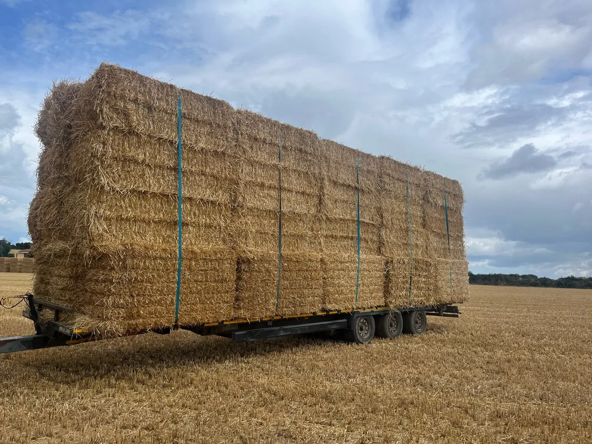 8x4x3 Barley Straw
