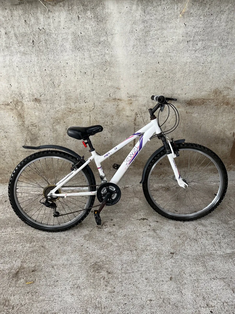 Bike - Image 1