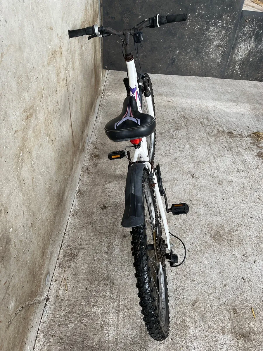 Bike - Image 3