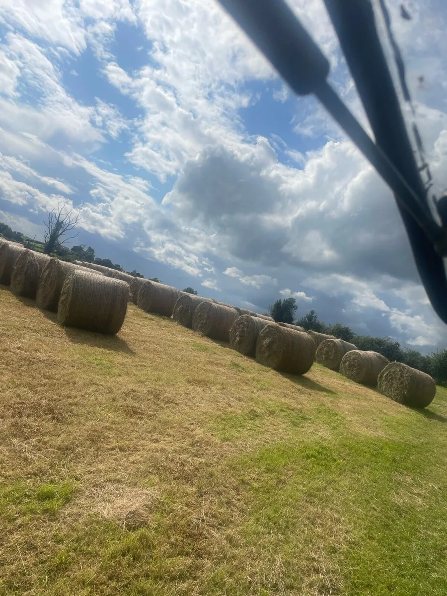 Bales of hay - Image 1