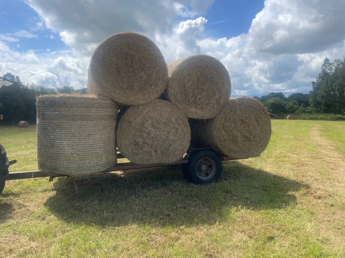 Bales of hay - Image 2
