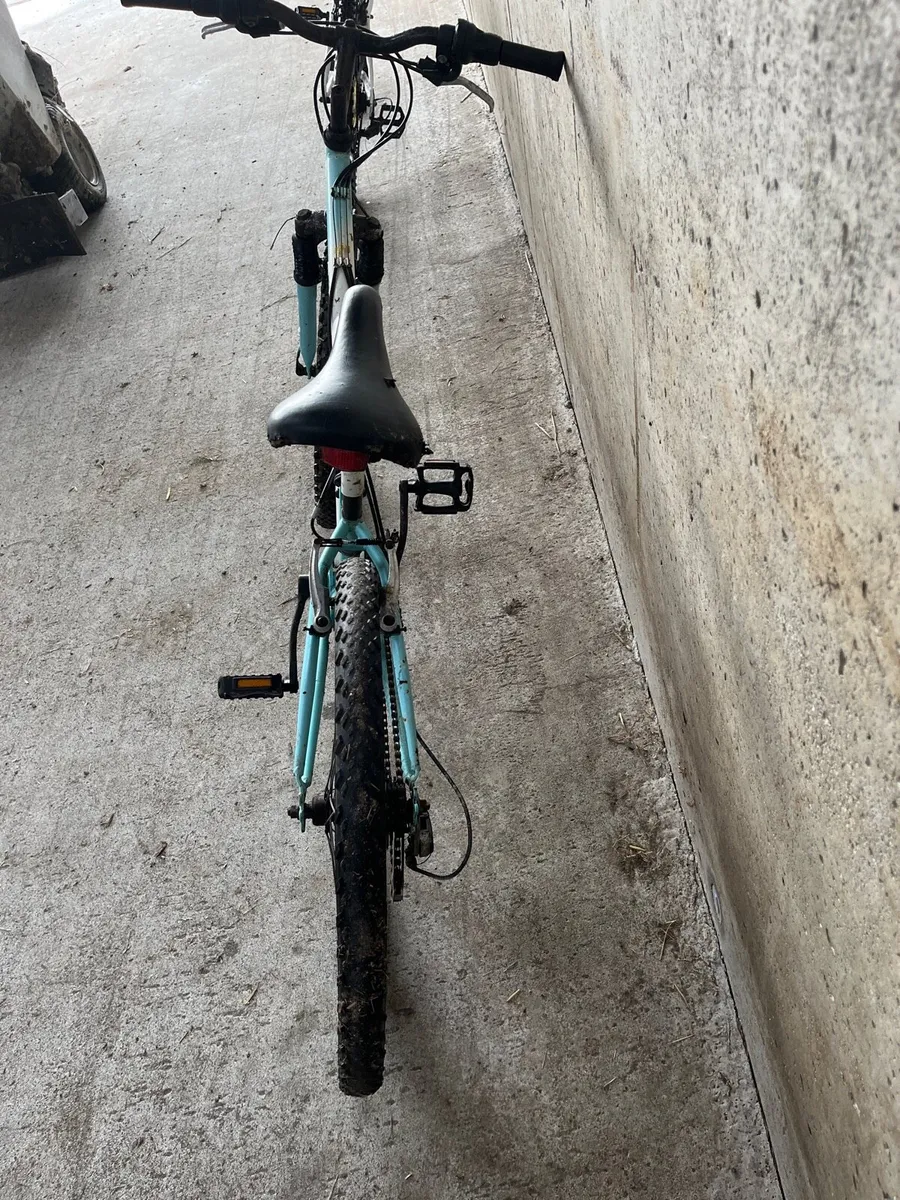 Bike - Image 2