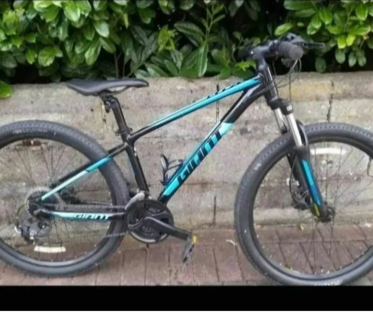 Giant ATX Youth Mountain Bike