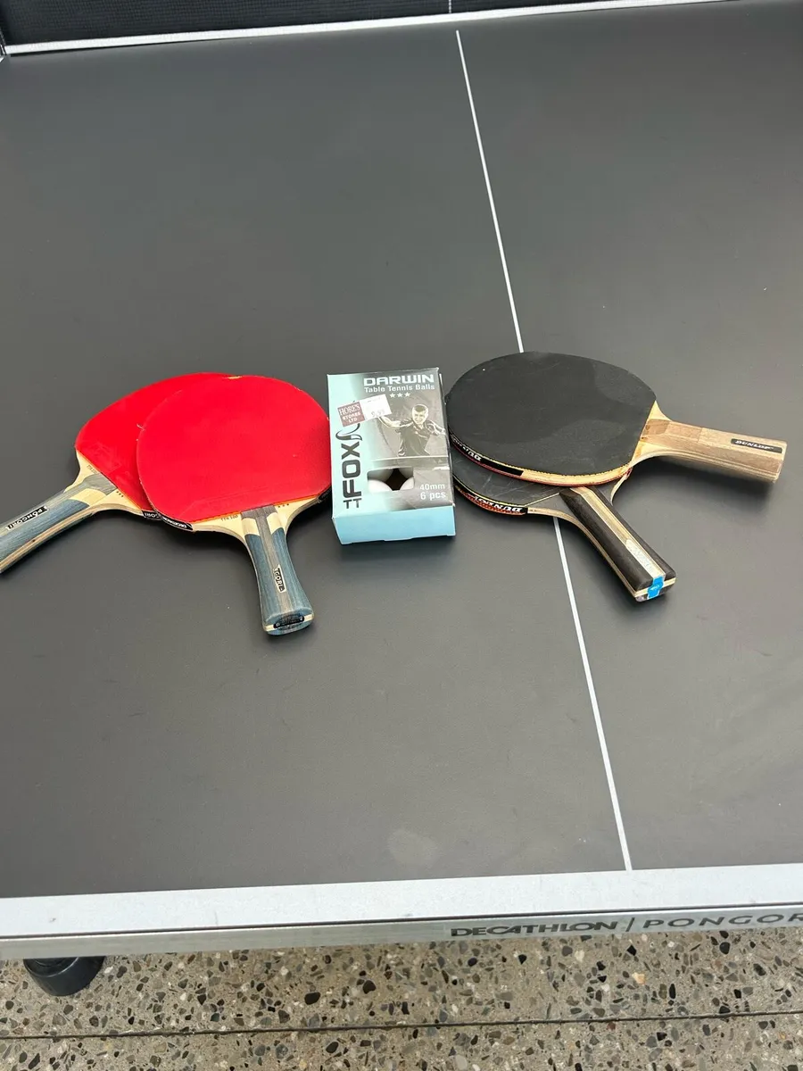 Outdoor / Indoor Table Tennis Table - Image 4