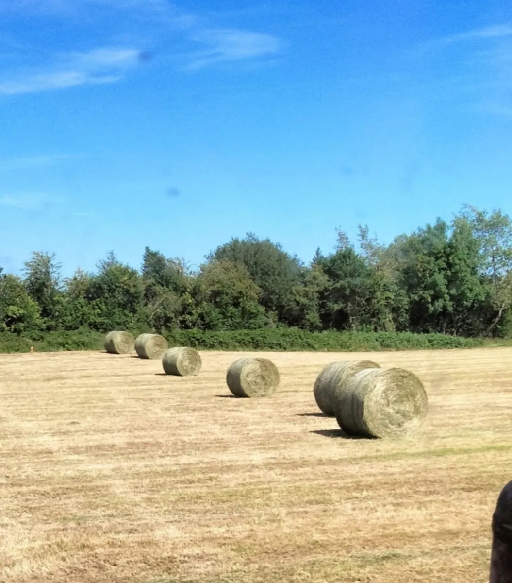 Haylage
