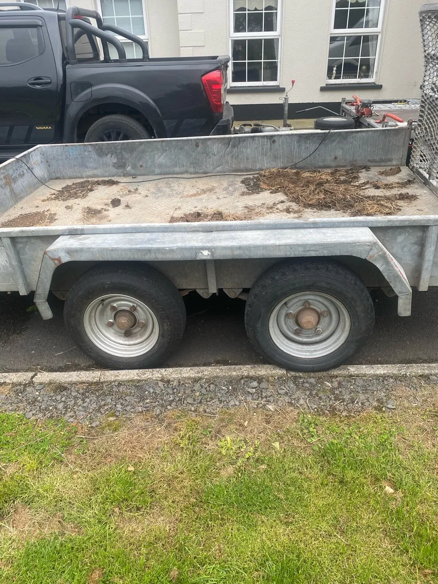 10x6 plant trailer - Image 2