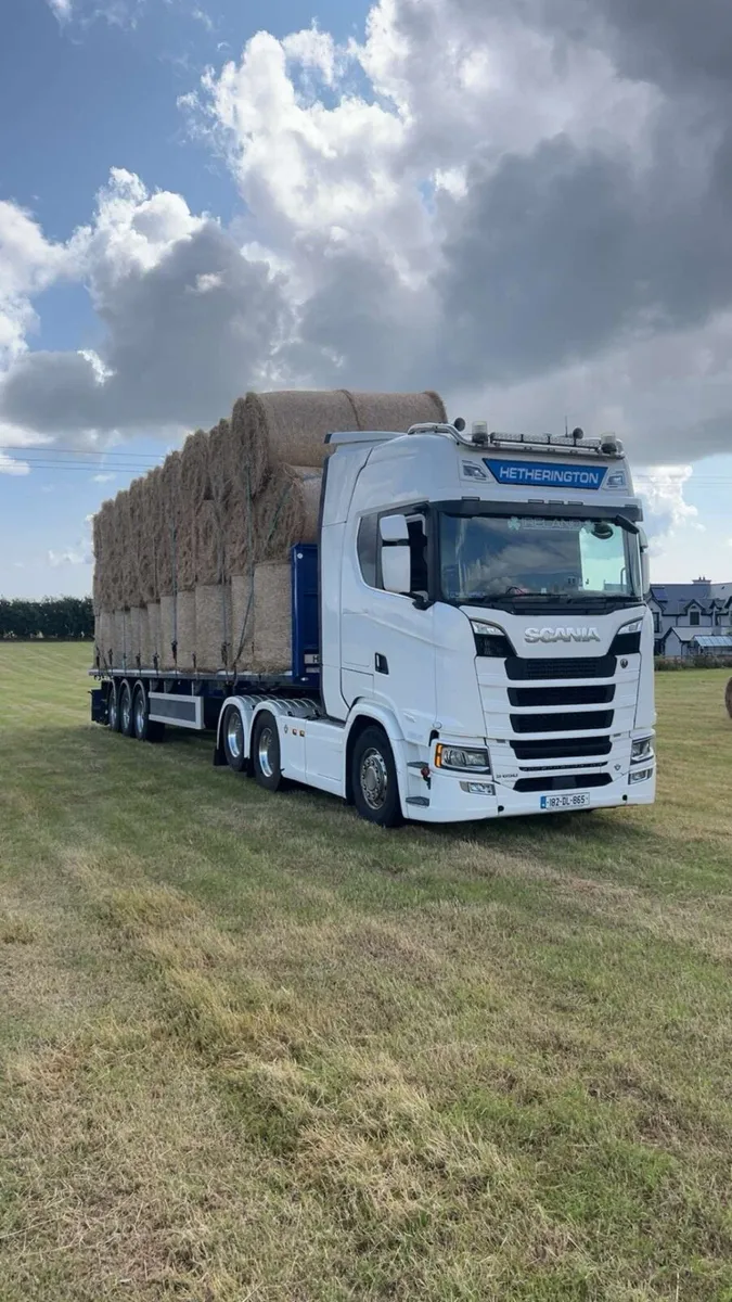 Hay - Image 1