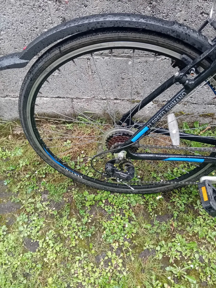 Bentini Minnesola Bicycle - Image 2