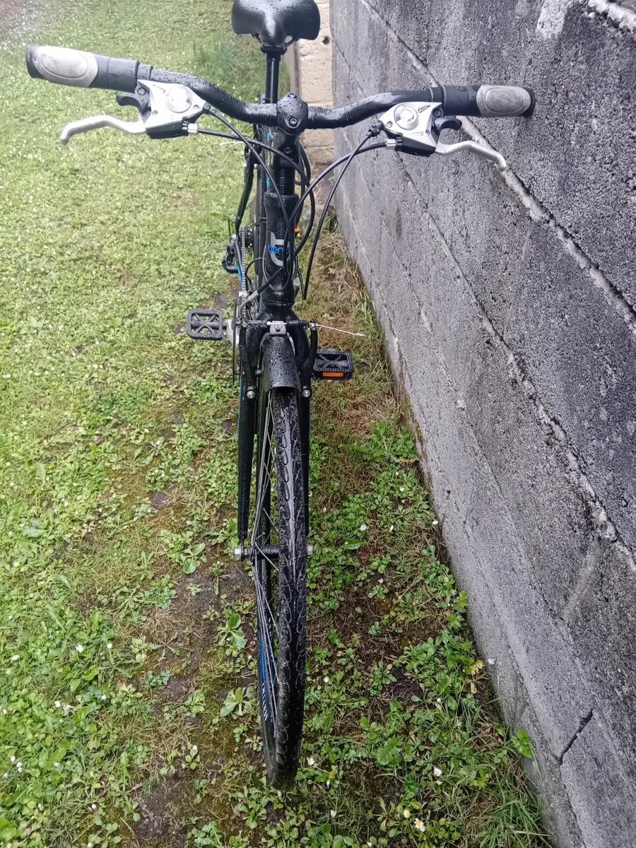 Bentini Minnesola Bicycle - Image 3