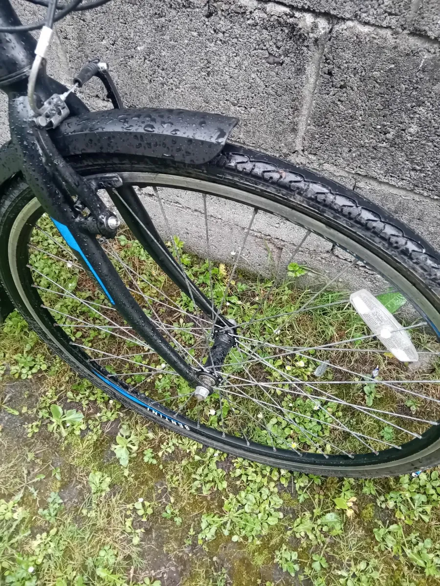 Bentini Minnesola Bicycle - Image 4