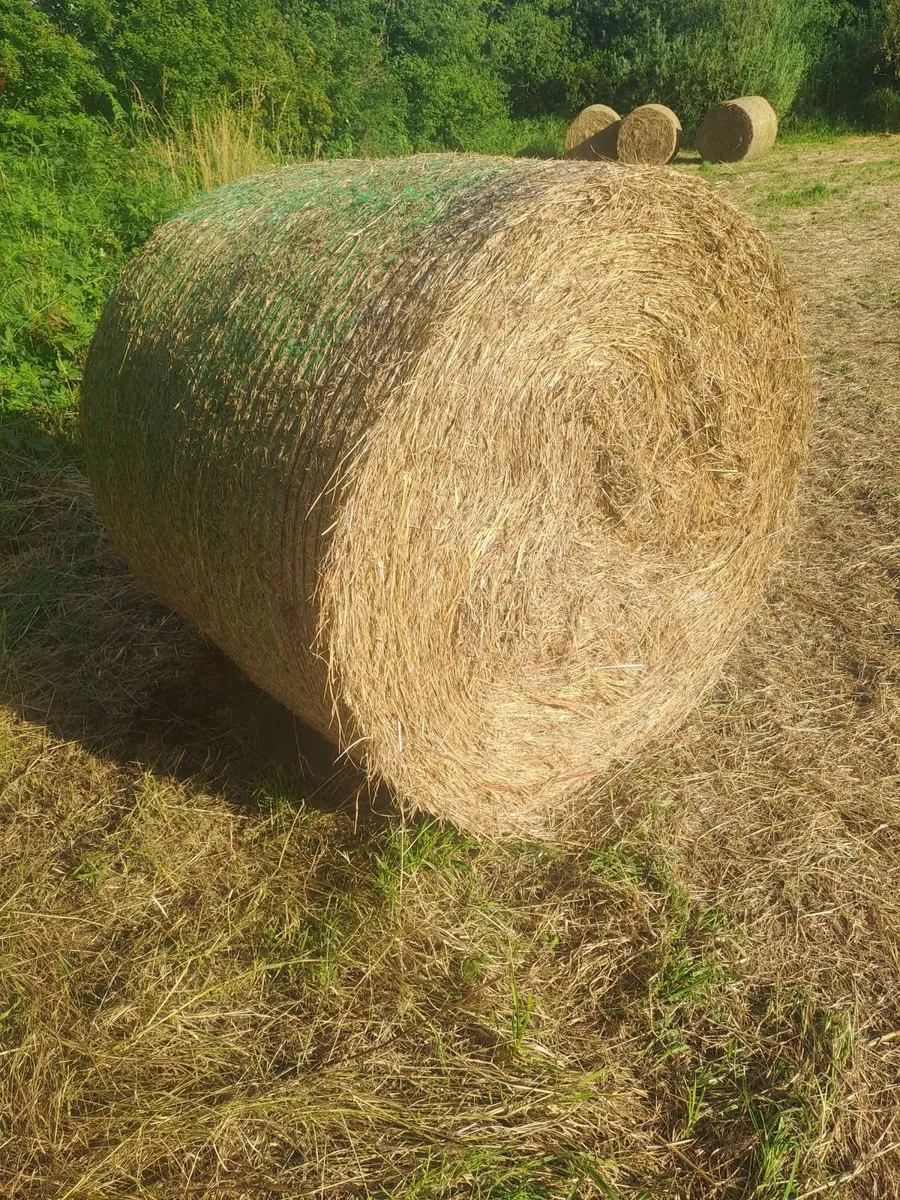 Hay and silage for sale - Image 1