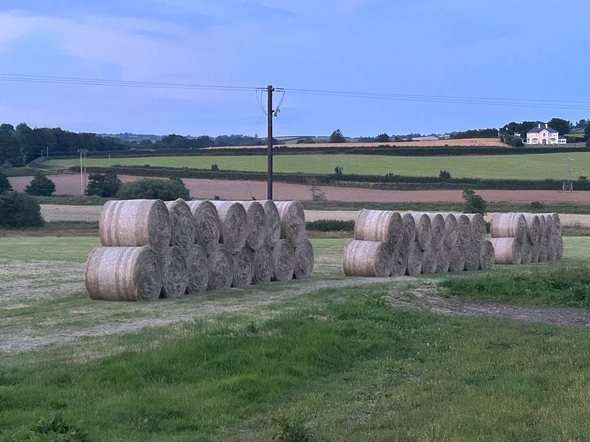 Hay and haylage for sale - Image 1