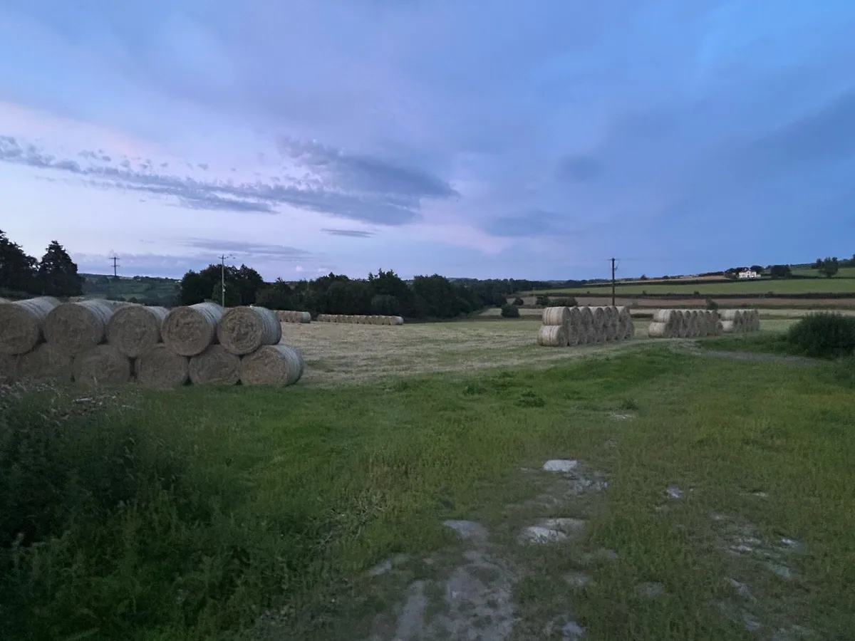 Hay and haylage for sale - Image 2