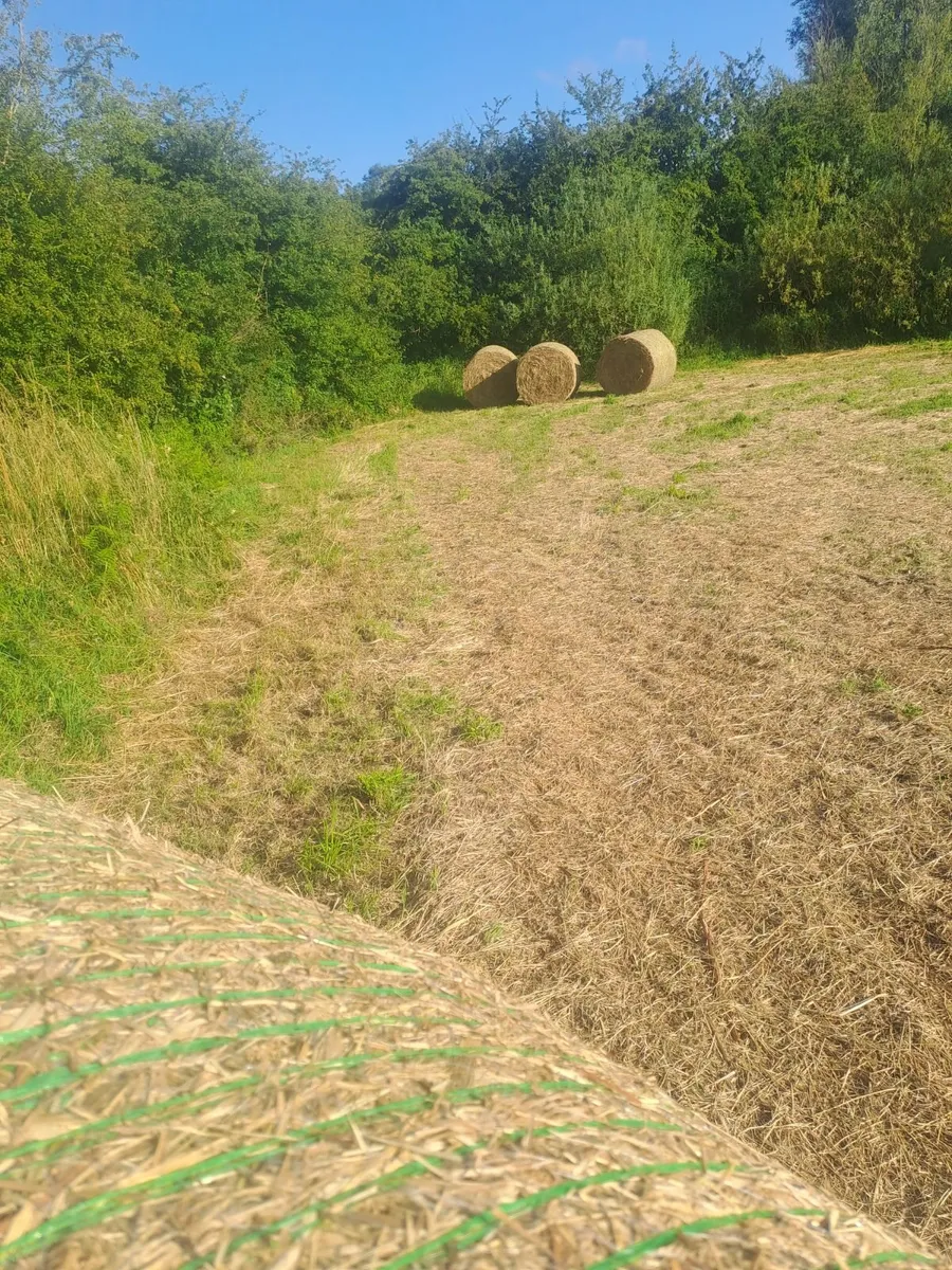 Hay and silage for sale - Image 4