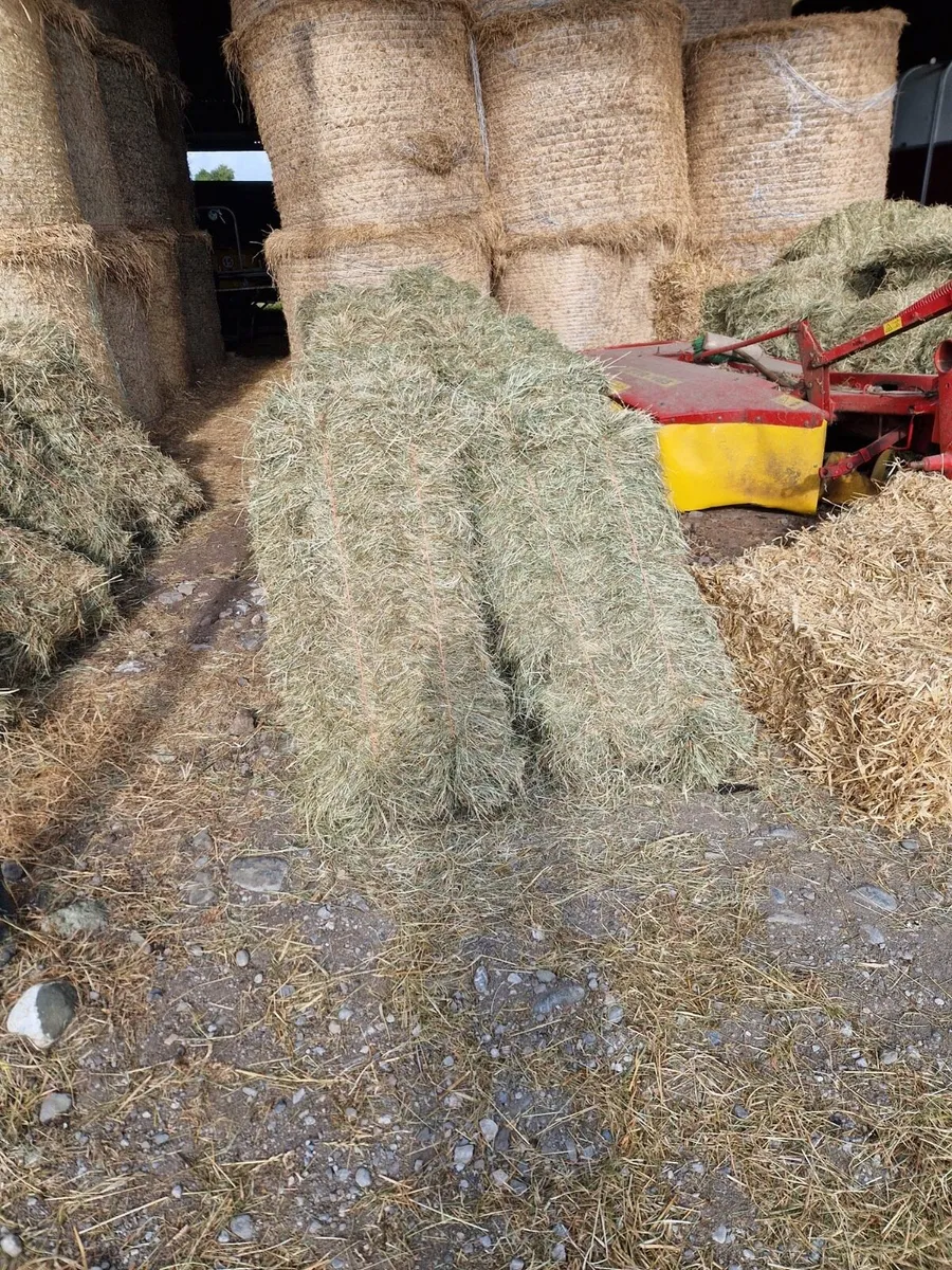 Hay for Sale