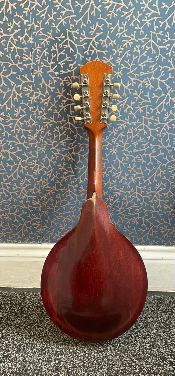 Gibson mandolin - Image 2