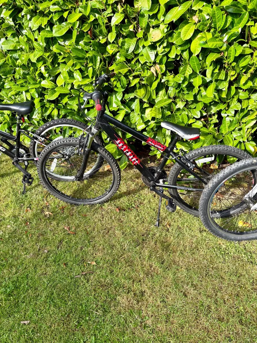 Kids bicycles - Image 2