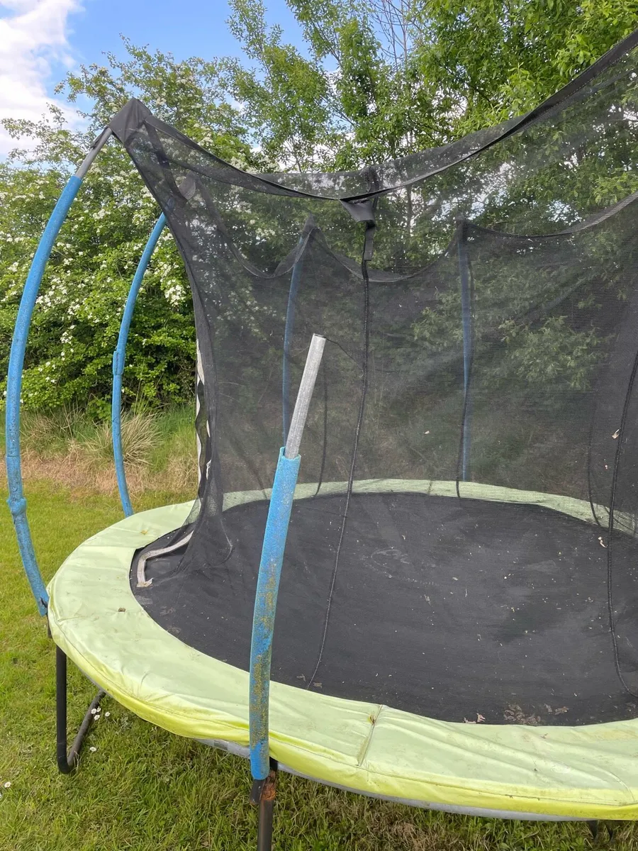 Trampoline - Image 3