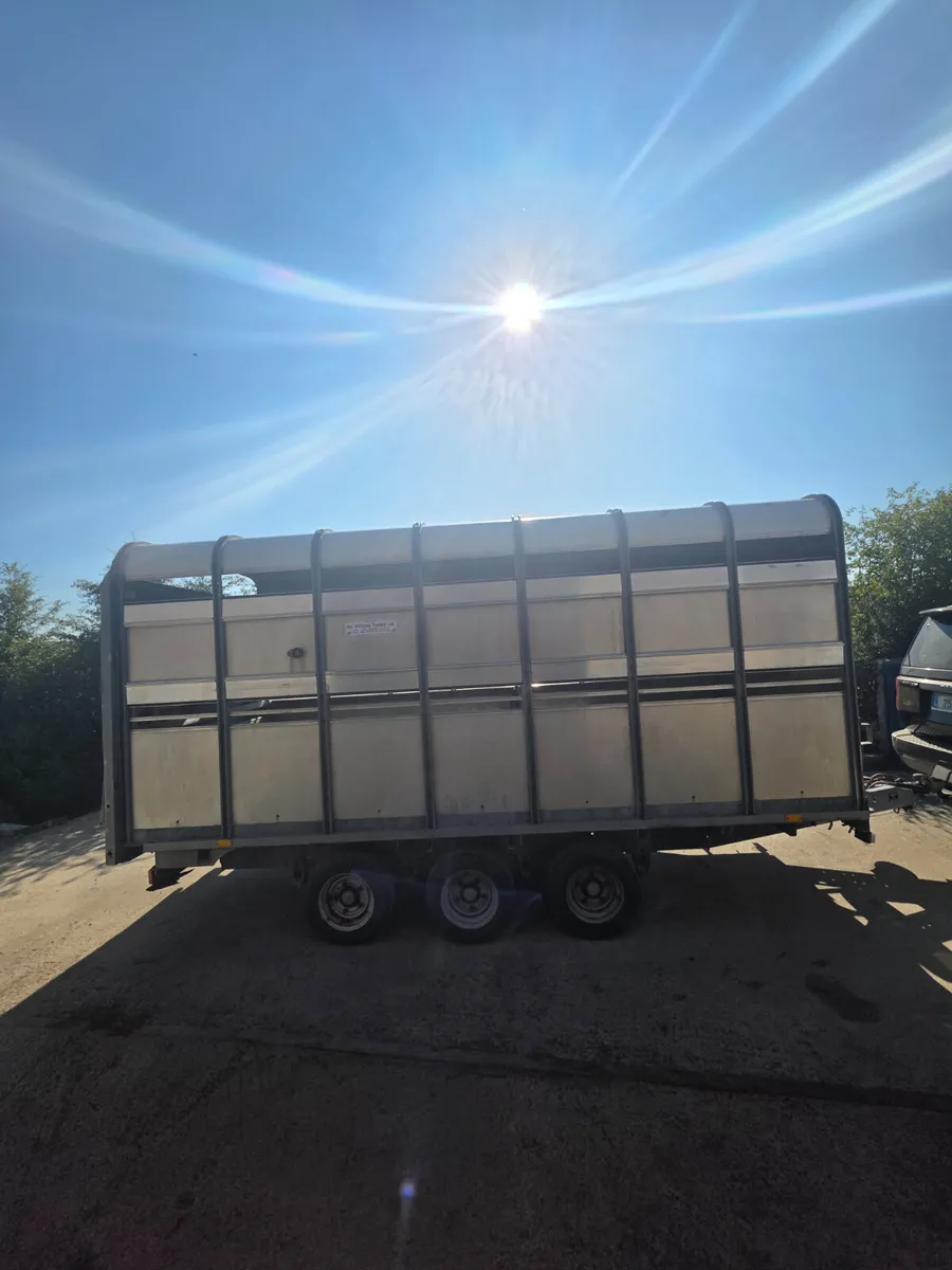 14ft ifor Williams livestock trailer - Image 2