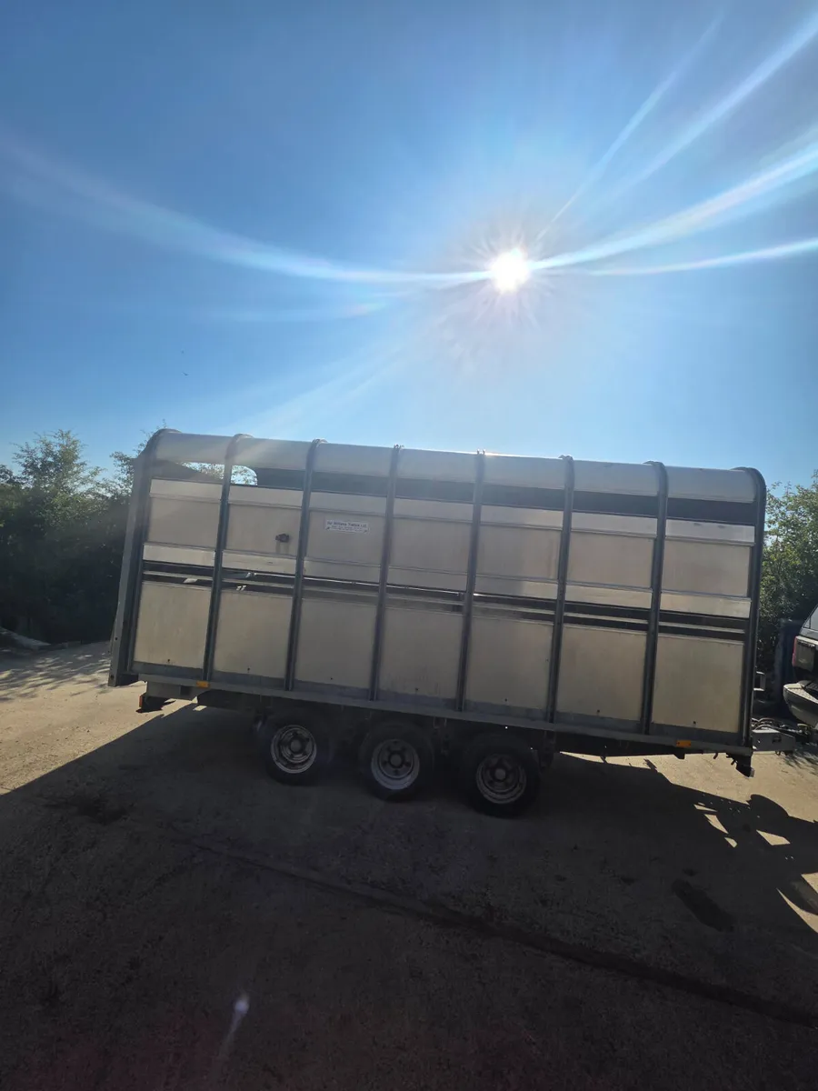 14ft ifor Williams livestock trailer - Image 3